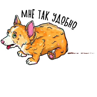 💩