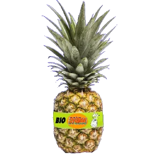 🍍