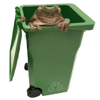 🐸