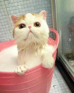 😠