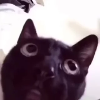😣