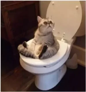 😯