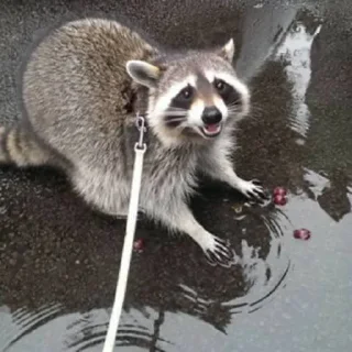 😀