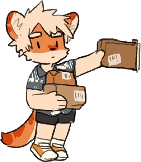 📦