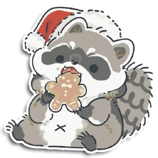 🦝