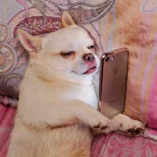 📱