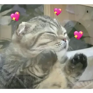 💖