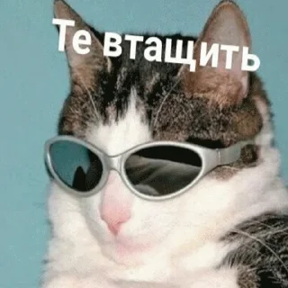 👊
