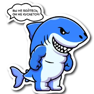 🦈