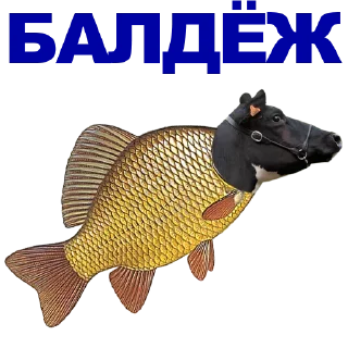 🐠