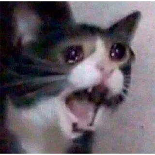 😳