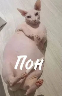 😋