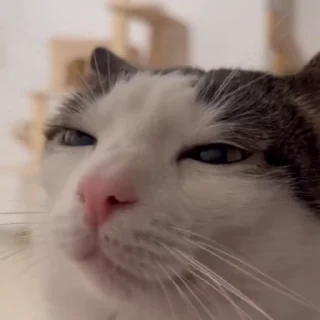 😚