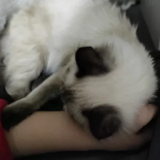 ❤️