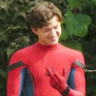 🕷