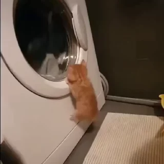 💕