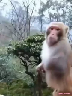 😱
