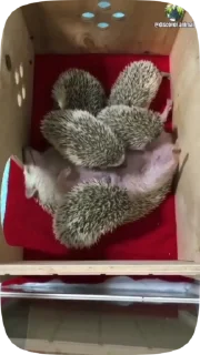 😵