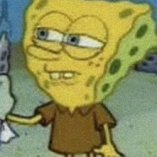 🧽
