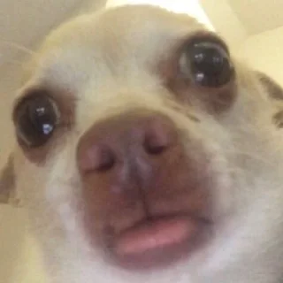 🙂