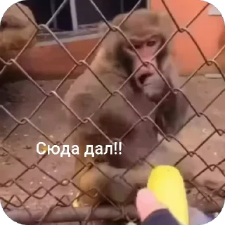 😠
