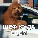 🚗