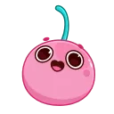Pink Cherry