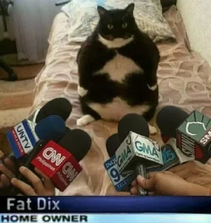 😶