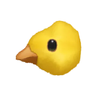 🐤
