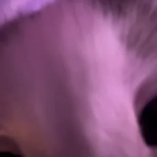 🫣