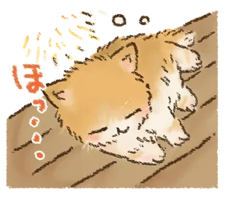 🐱