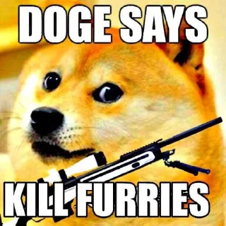 🙀