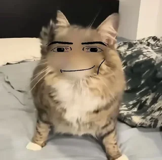 ⚡