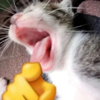 🤣