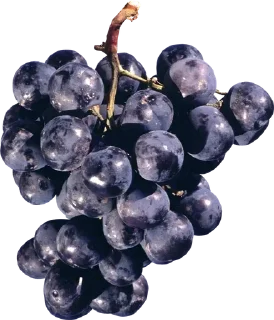 🍇