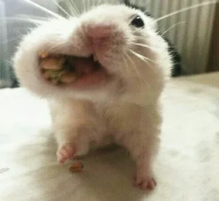 🙂