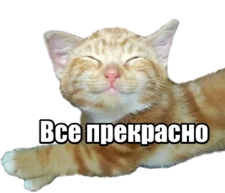 😌
