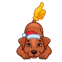 👍