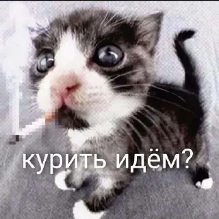 🤔