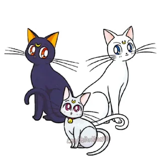 😻Luna & Artemis😸 @SailorMoon90s