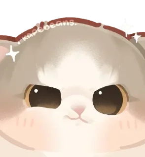😼