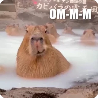 🤨