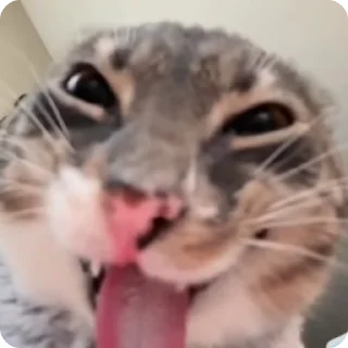 😛
