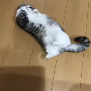 🧖