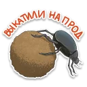 💩