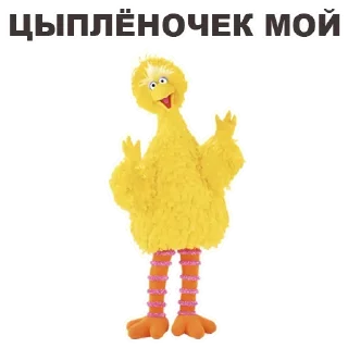 💑