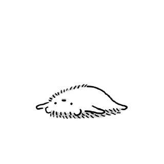 🦔