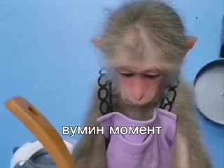 🤩