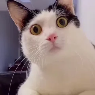 😳