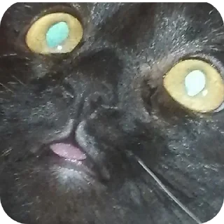 🪐